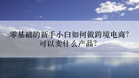 跨境電商無貨源開店運營教學,亞馬遜erp系統全國招商定制